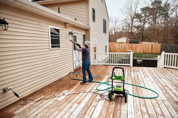 Best Garage Pressure Washing  in Taylorvle, IL