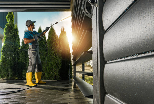 Best Roof Power Washing Services  in Taylorvle, IL