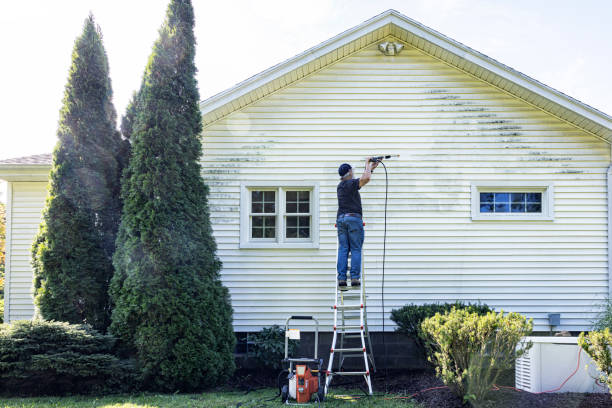 Best Commercial Pressure Washing  in Taylorvle, IL