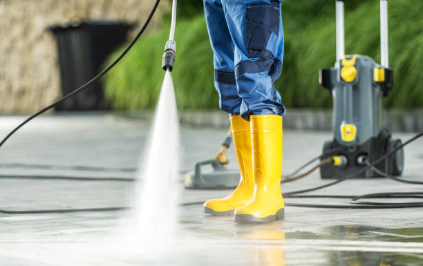 Best Pressure Washing Services for Businesses  in Taylorvle, IL