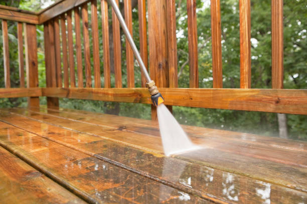 Best Pressure Washing Near Me  in Taylorvle, IL