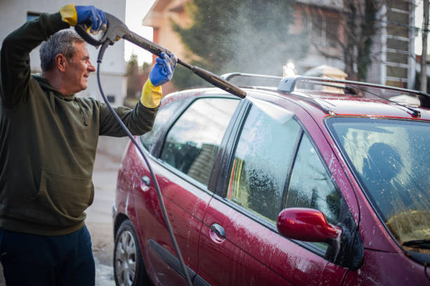 Best Roof Pressure Washing  in Taylorvle, IL