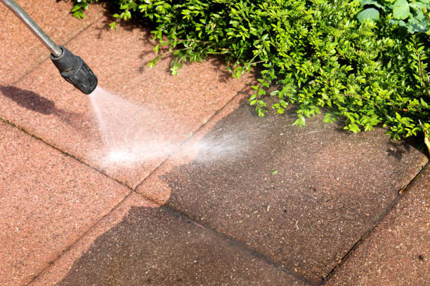 Best Affordable Power Washing  in Taylorvle, IL